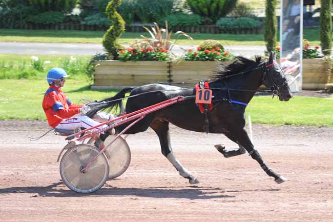 Arrivée quinté pmu PRIX DE LA VILLE DE SAINT-ETIENNE-DE-MONTLUC à CORDEMAIS