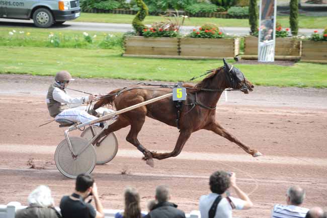 Arrivée quinté pmu PRIX DE LA VILLE DE MALVILLE à CORDEMAIS