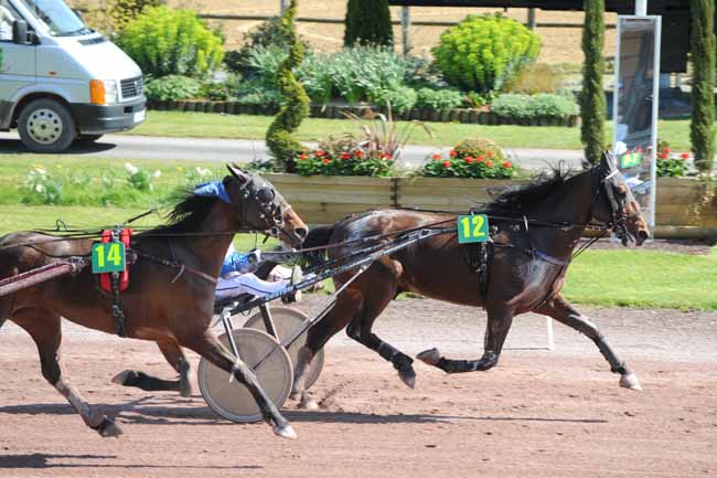 Arrivée quinté pmu PRIX JACQUES FAIRAN à CORDEMAIS