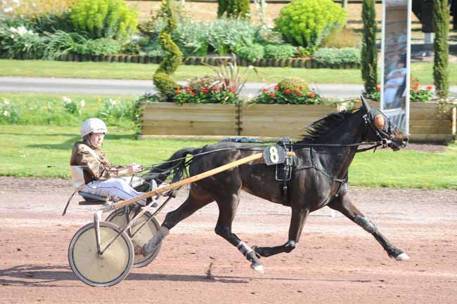 Arrivée quinté pmu PRIX JACQUES DY à CORDEMAIS