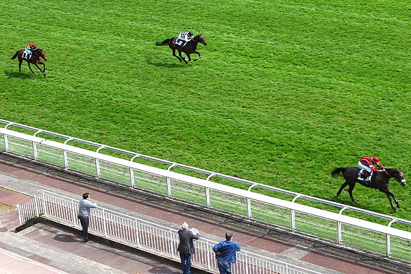Arrivée quinté pmu PRIX VANILLE à AUTEUIL