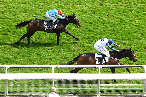 Arrivée quinté pmu PRIX DU VIVARAIS à AUTEUIL