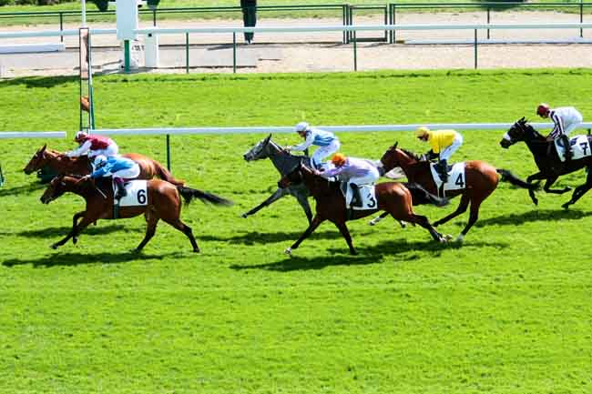 Arrivée quinté pmu PRIX DE LA FLANDRIE à LONGCHAMP