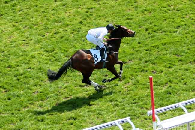Arrivée quinté pmu PRIX VIRELAN à AUTEUIL