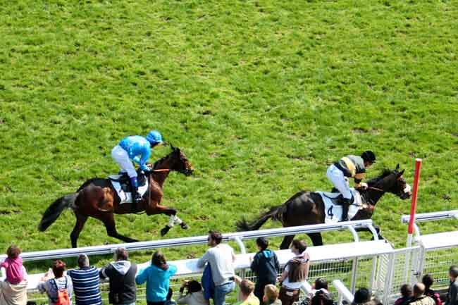 Arrivée quinté pmu PRIX SICIE à AUTEUIL