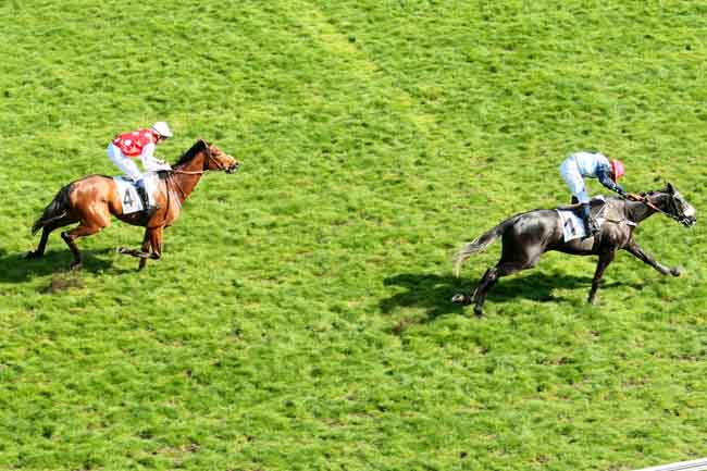 Arrivée quinté pmu PRIX ALCIDE à AUTEUIL