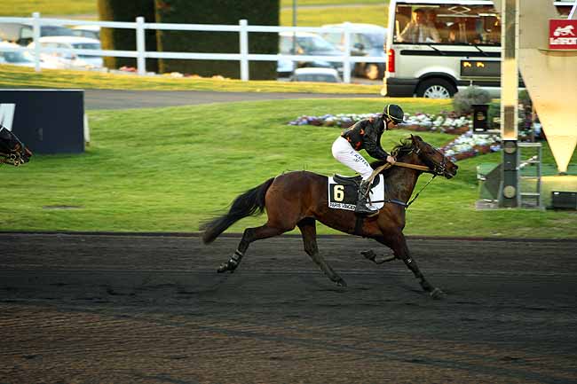Arrivée quinté pmu PRIX HAVNIA à PARIS-VINCENNES
