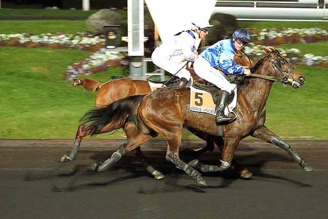 Arrivée quinté pmu PRIX ATHOR à PARIS-VINCENNES