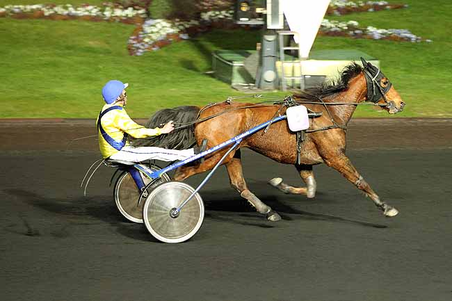 Arrivée quinté pmu PRIX ASPORINA à PARIS-VINCENNES