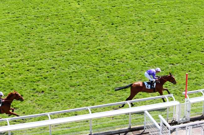 Arrivée quinté pmu PRIX GO AHEAD à AUTEUIL