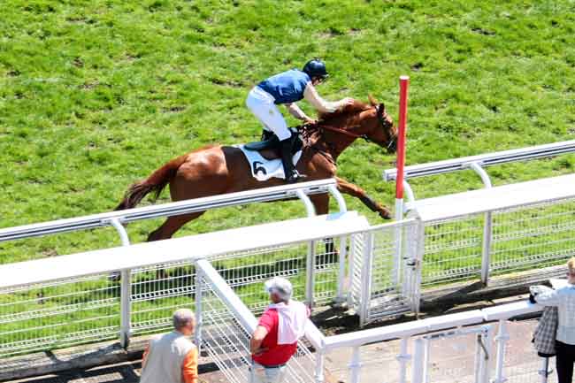Arrivée quinté pmu PRIX DE SAINT-GERMAIN à AUTEUIL