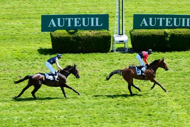 Arrivée quinté pmu PRIX GUILLAUME JAVOY à AUTEUIL