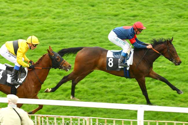 Arrivée quinté pmu PRIX DE LA CHAPELLE LA REINE à FONTAINEBLEAU