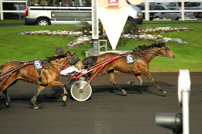 Arrivée quinté pmu PRIX HUBERTA à PARIS-VINCENNES
