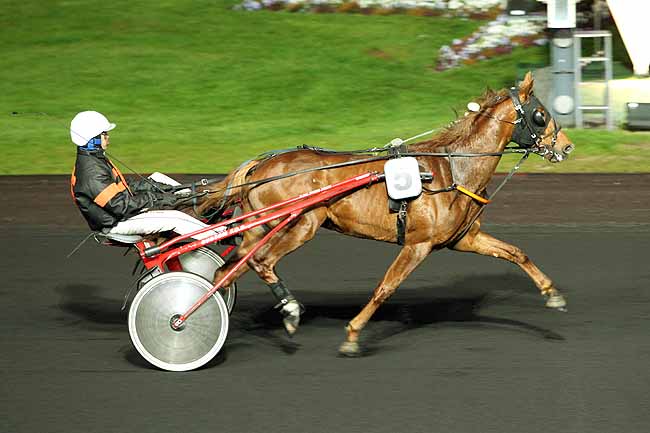 Arrivée quinté pmu PRIX LIBUSSA à PARIS-VINCENNES