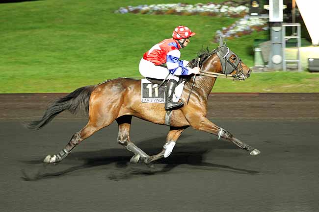 Arrivée quinté pmu PRIX ANNA à PARIS-VINCENNES