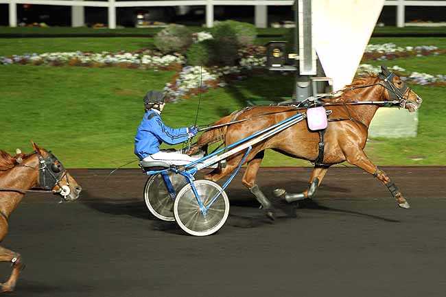 Arrivée quinté pmu PRIX REGINA à PARIS-VINCENNES