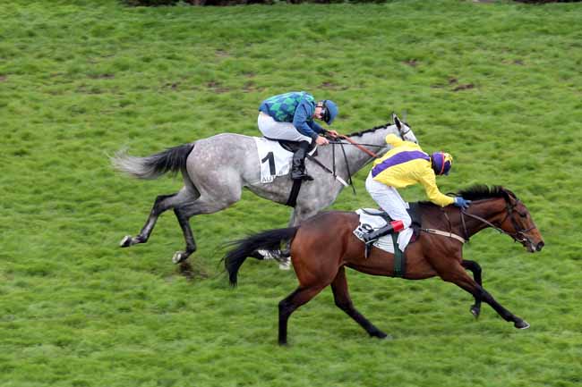 Arrivée quinté pmu PRIX JEAN STERN à AUTEUIL