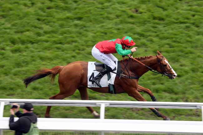 Arrivée quinté pmu PRIX LEON RAMBAUD à AUTEUIL