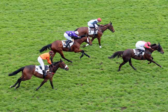 Arrivée quinté pmu PRIX GASTON BRANERE à AUTEUIL