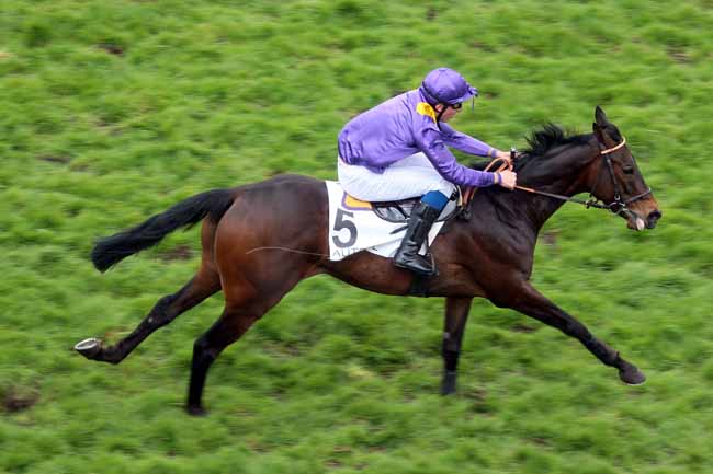 Arrivée quinté pmu GRAND PRIX DES JEUNES JOCKEYS à AUTEUIL