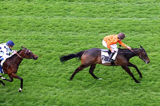 Arrivée quinté pmu PRIX DE LA GOURSAULE à CHANTILLY