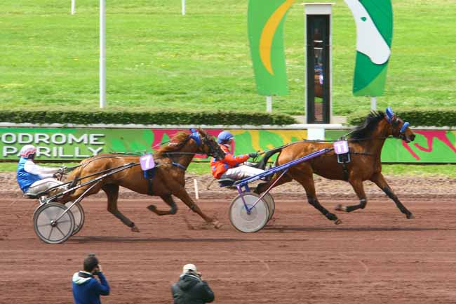 Arrivée quinté pmu PRIX DE LA CHAMPAGNE à LYON-PARILLY
