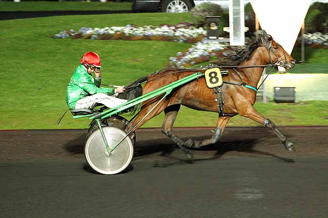 Arrivée quinté pmu PRIX ARACHNE à PARIS-VINCENNES