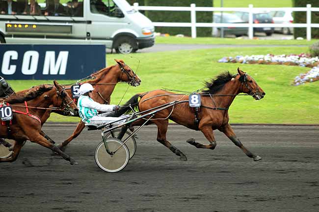 Arrivée quinté pmu PRIX BETTINA à PARIS-VINCENNES