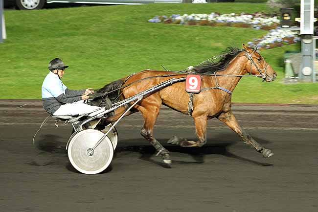 Arrivée quinté pmu PRIX MARSIK à PARIS-VINCENNES