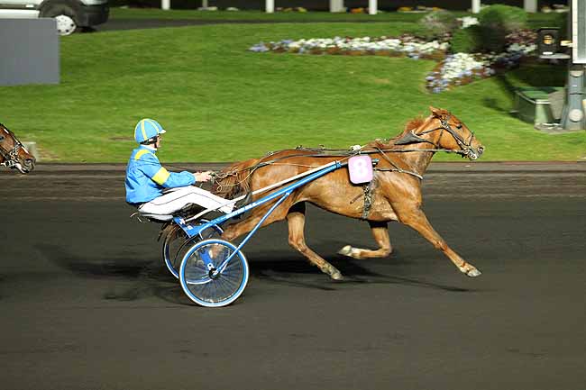 Arrivée quinté pmu PRIX IDA à PARIS-VINCENNES