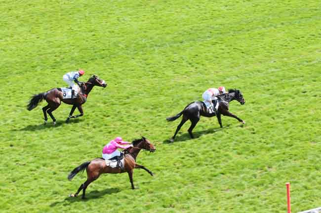 Arrivée quinté pmu GRANDE COURSE DE HAIES DE PRINTEMPS à AUTEUIL
