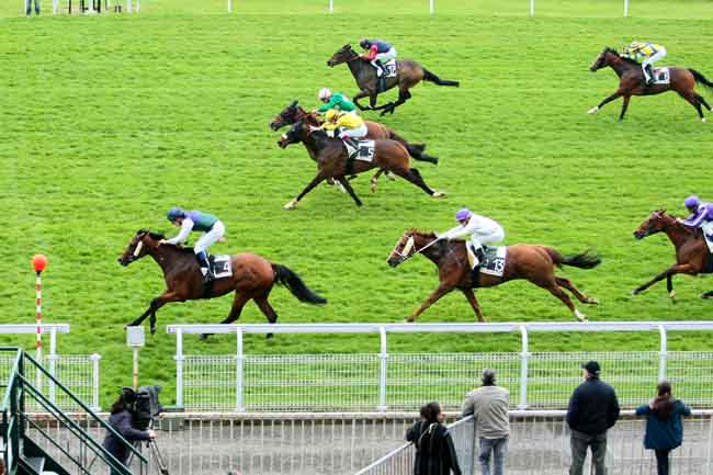 Arrivée quinté pmu PRIX DE MALBOROUGH à MAISONS-LAFFITTE