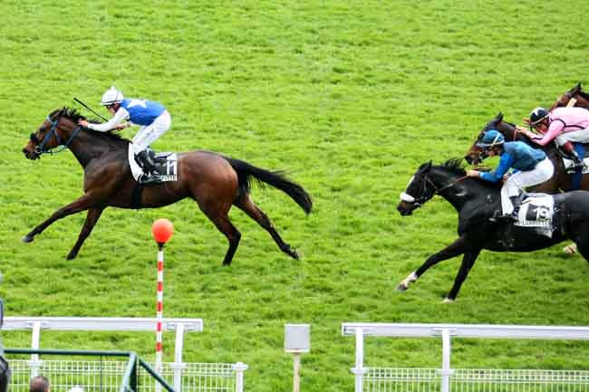 Arrivée quinté pmu PRIX DE MALTON à MAISONS-LAFFITTE