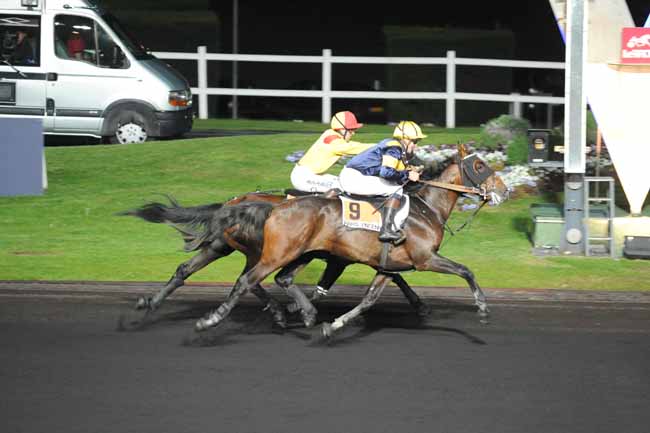 Arrivée quinté pmu PRIX FLORA à PARIS-VINCENNES