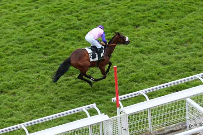 Arrivée quinté pmu PRIX DE POUILLY à AUTEUIL