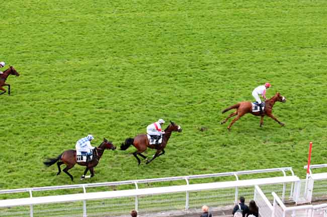 Arrivée quinté pmu PRIX FAUCHE LE PRE à AUTEUIL