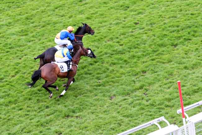 Arrivée quinté pmu PRIX PANSA à AUTEUIL