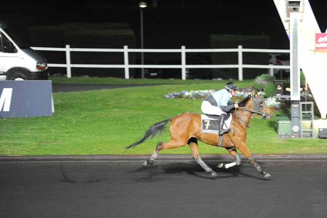 Arrivée quinté pmu PRIX NUWA à PARIS-VINCENNES
