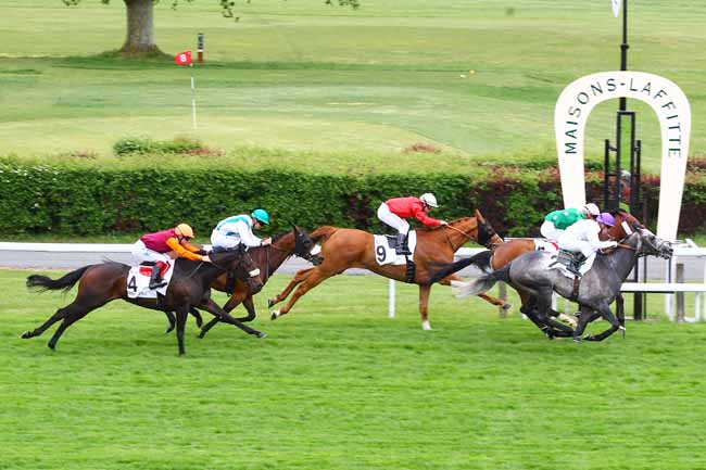Arrivée quinté pmu PRIX DE MONTIGNY à MAISONS-LAFFITTE