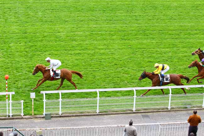 Arrivée quinté pmu PRIX PIRETTE à MAISONS-LAFFITTE