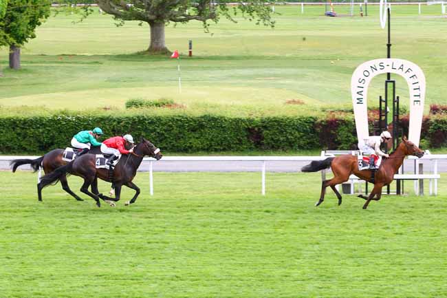Arrivée quinté pmu PRIX COMRADE à MAISONS-LAFFITTE