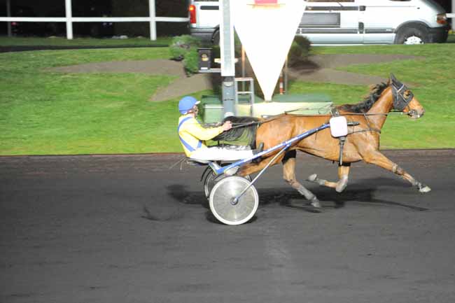 Arrivée quinté pmu PRIX KATHARINA à PARIS-VINCENNES