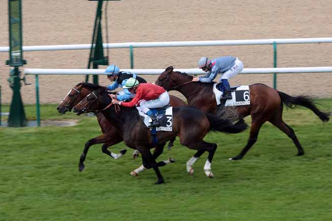 Arrivée quinté pmu PRIX DU PONT DU ROI à CHANTILLY