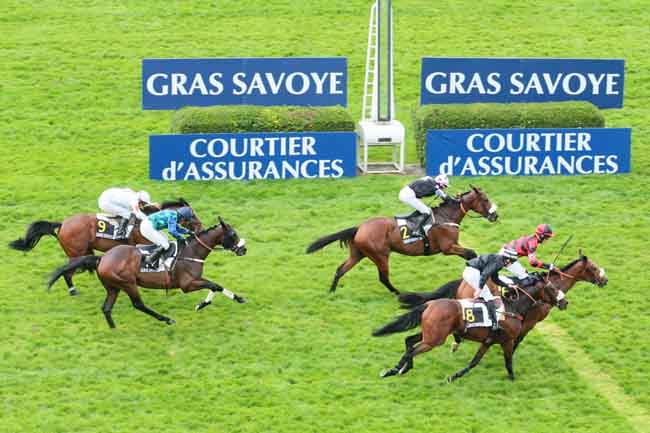 Arrivée quinté pmu GRAS SAVOYE HIPCOVER - PRIX MARECHAL FOCH à AUTEUIL