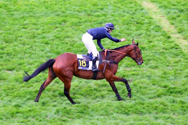 Arrivée quinté pmu GRAS SAVOYE CINEMA PRIX WILD RISK à AUTEUIL