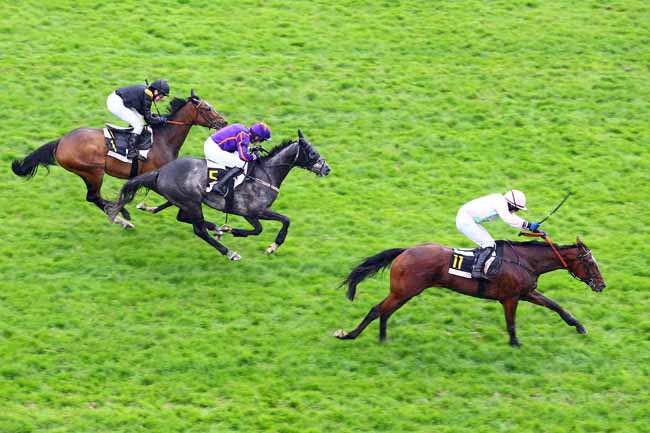 Arrivée quinté pmu GRAS SAVOYE PASTEURDON PRIX QUESTARABAD (PRIX DE LONGCHAMP) à AUTEUIL