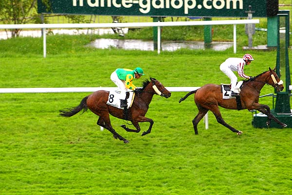 Arrivée quinté pmu PRIX DE ROLLEBOISE à SAINT-CLOUD