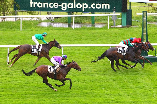 Arrivée quinté pmu PRIX DE MALMAISON à SAINT-CLOUD