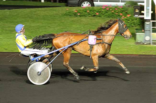 Arrivée quinté pmu PRIX BAPTISTINA à PARIS-VINCENNES